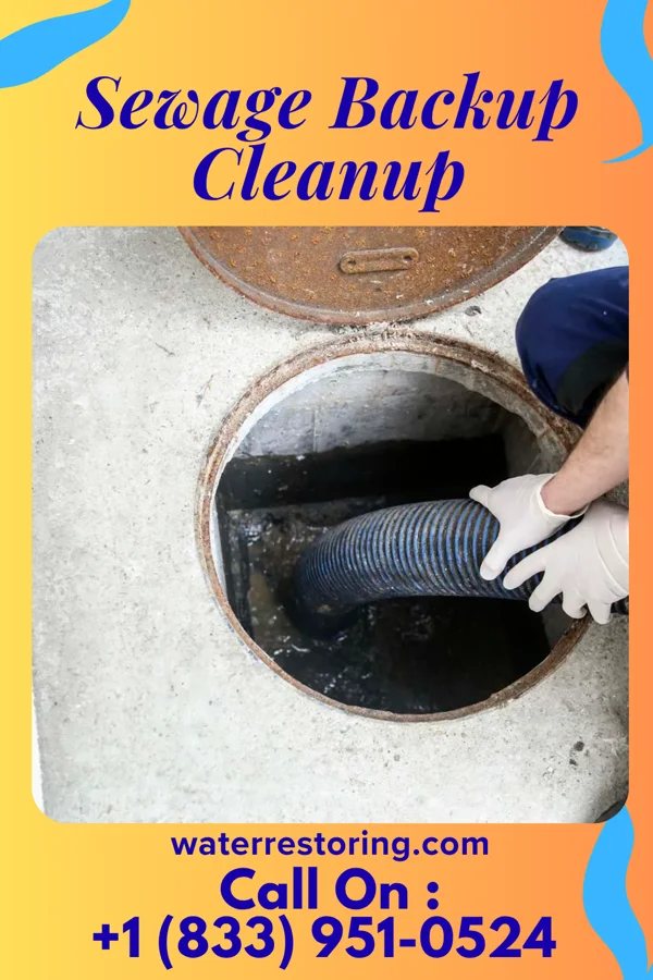 Sewage Backup Cleanup in Garrison, MN