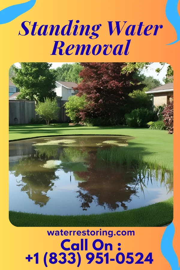 Standing Water Removal in Garrison, MN
